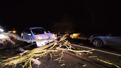 Tempête Dudley : une trentaine d'interventions des pompiers dans le...